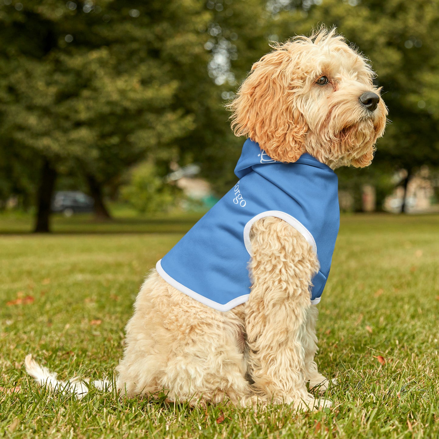 Baby blue on white pet hoodie