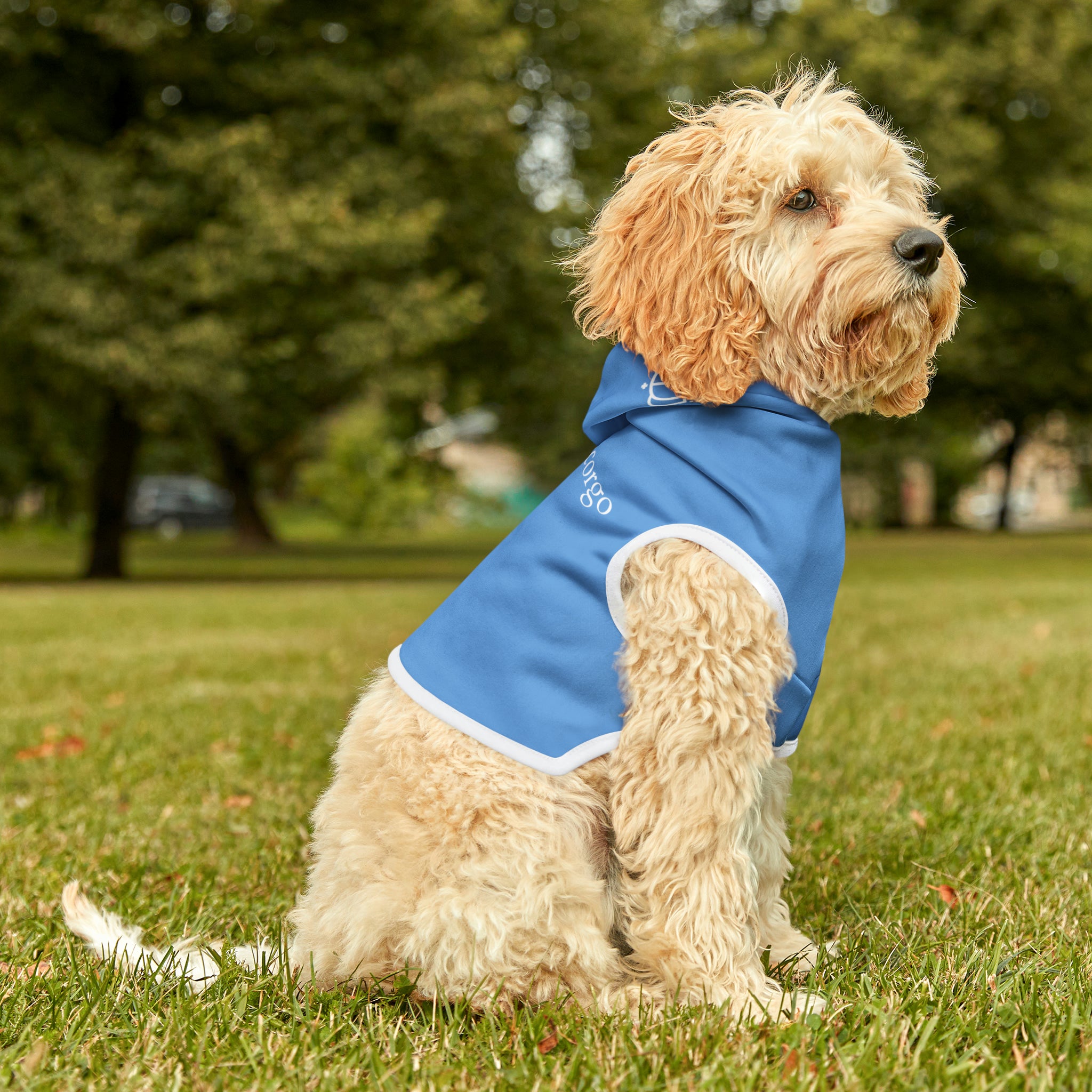 Baby blue on white pet hoodie