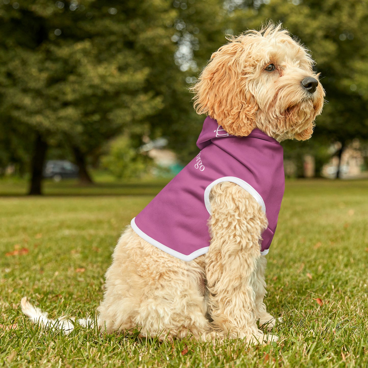 Purple on white pet hoodie