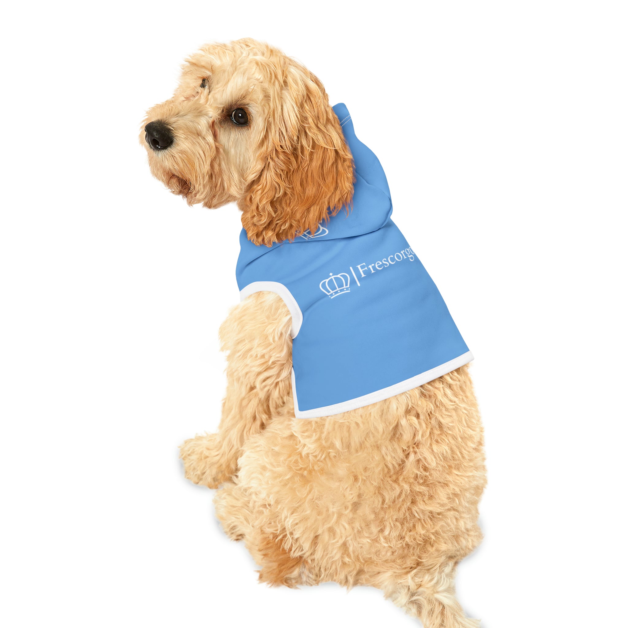 Baby blue on white pet hoodie